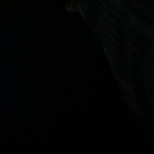 Meet your Posher, Briana